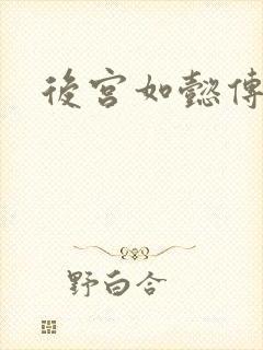 后宫如懿传小说封面