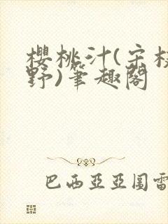 樱桃汁(宋枝江野)笔趣阁