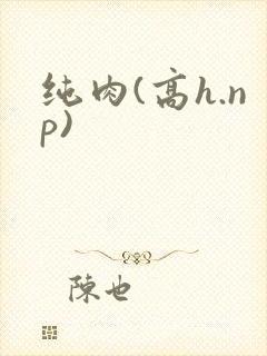 纯肉(高h.np)