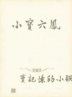 小宝六凤封面