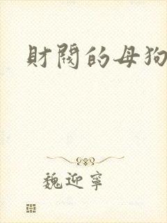 财阀的母狗们
