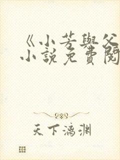 《小芳与父亲》小说免费阅读封面