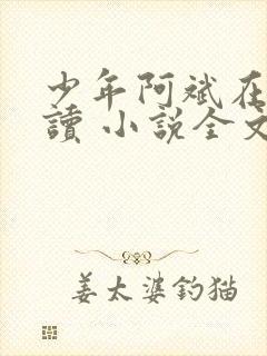 少年阿斌在线阅读 小说全文免费