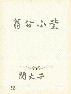 翁公小莹封面