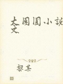 大团圆小说集全文封面