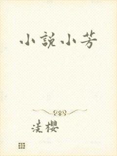 小说小芳
