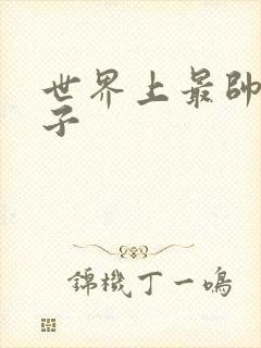 世界上最帅的虫子