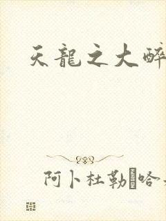 天龙之大醉侠