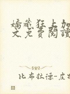 娇藏狂上加狂全文免费阅读笔趣阁