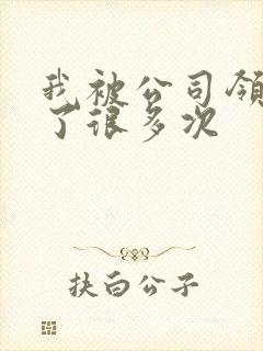 我被公司领导C了很多次