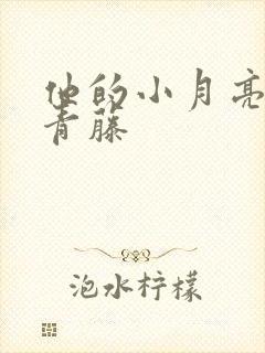 他的小月亮by青藤