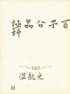 极品公子百度百科封面