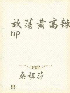 放荡黄高辣h文np封面