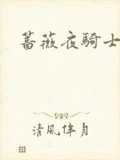 蔷薇夜骑士封面