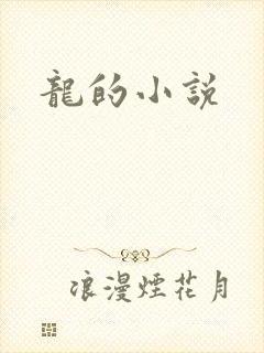 龙的小说