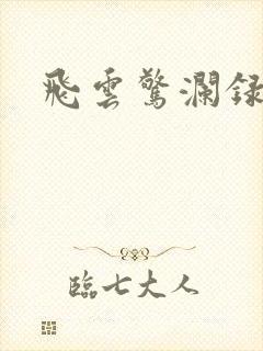 飞云惊澜录