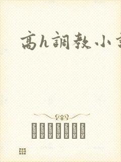 高h调教小说封面