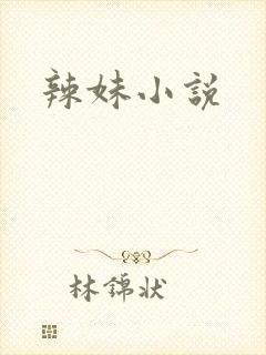 辣妹小说封面