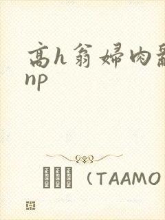 高h翁妇肉乱文np封面