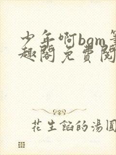 少年啊bgm笔趣阁免费阅读全文下载