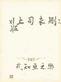 xl上司未删减版