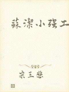 苏洁小强工地情