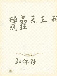 极品天王 我本疯狂