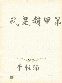 我是赵甲第小说