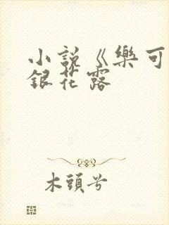 小说《乐可》金银花露封面