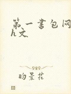 第一书包网高辣h文封面