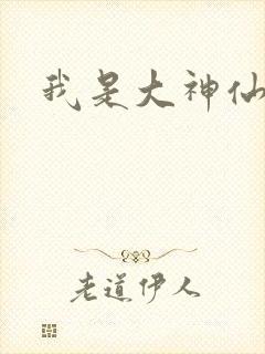 我是大神仙小说