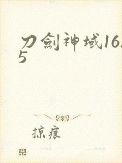 刀剑神域16.5