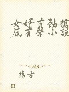 女婿有劲枪枪到底有声小说封面