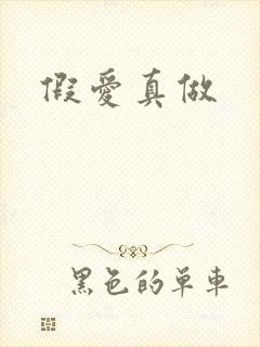 假爱真做