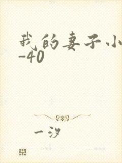 我的妻子小谨1-40