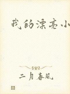 我的漂亮小后妈