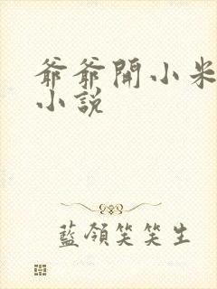 爷爷开小米的包小说