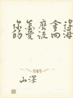 你怎么舍得让我的爱流向海