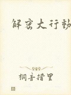 解密大行动