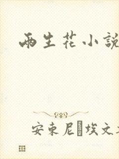 两生花小说封面