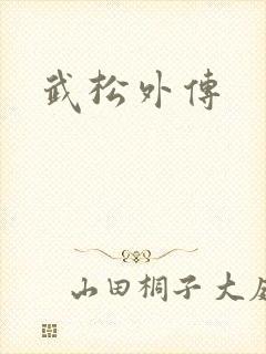 武松外传封面
