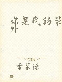 你是我的荣耀番外