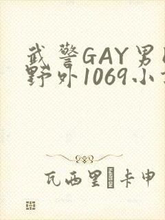 武警GAY男同野外1069小说封面