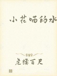 小花喵的水蜜桃