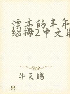 漂亮的丰年经的继拇2中文版封面