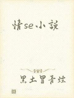 情se小说