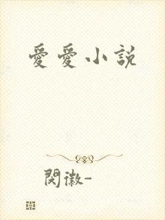 爱爱小说