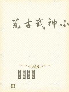 荒古武神小说