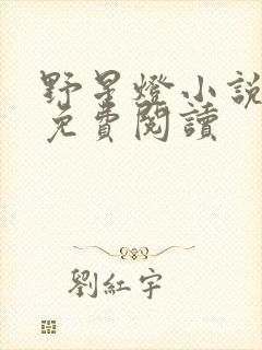 野星灯小说全文免费阅读