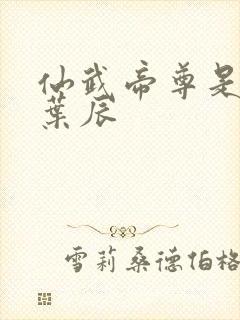 仙武帝尊是不是叶辰